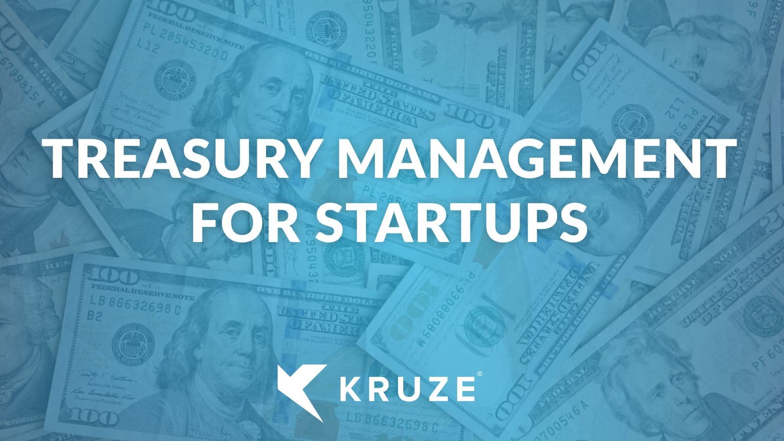 Treasury management for startup companies