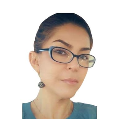 Leyla Rafiimanesh, Kruze Consulting